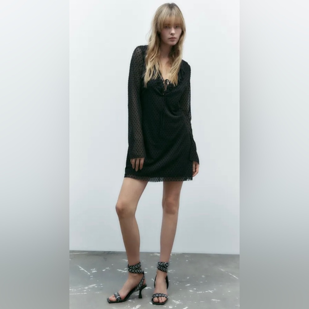 Zara Ruffled Flocked Dress XL